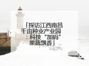 探访江西南昌千亩种业产业园：科技“加码” 果蔬飘香