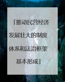 推动民营经济发展壮大的制度体系和法治框架基本形成