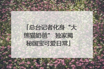 总台记者化身“大熊猫奶爸” 独家揭秘国宝可爱日常