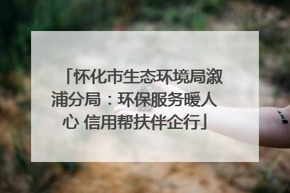 怀化市生态环境局溆浦分局：环保服务暖人心 信用帮扶伴企行
