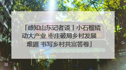 感知山东记者谈丨小石榴撬动大产业 枣庄破局乡村发展难题 书写乡村共富答卷
