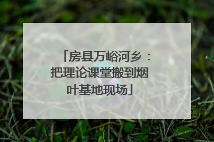房县万峪河乡：把理论课堂搬到烟叶基地现场