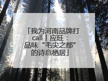 我为河南品牌打call丨应旺：品味“毛尖之都”的诗意栖居