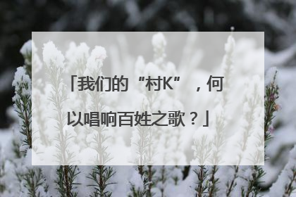 我们的“村K”，何以唱响百姓之歌？