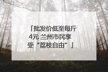 批发价低至每斤4元 兰州市民享受“荔枝自由”