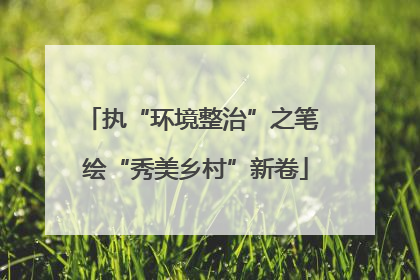 执“环境整治”之笔 绘“秀美乡村”新卷