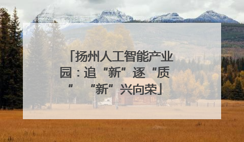 扬州人工智能产业园：追“新”逐“质” “新”兴向荣