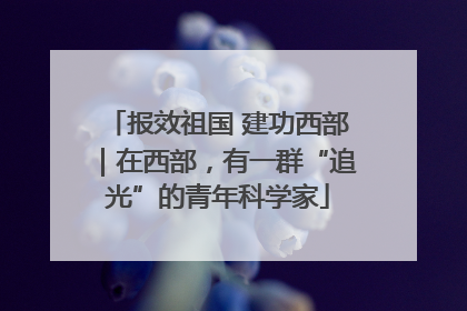 报效祖国 建功西部｜在西部，有一群“追光”的青年科学家