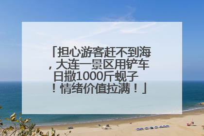 担心游客赶不到海，大连一景区用铲车日撒1000斤蚬子！情绪价值拉满！