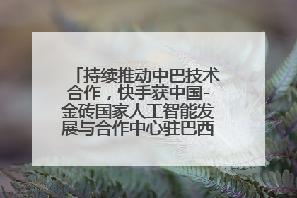 持续推动中巴技术合作，快手获中国-金砖国家人工智能发展与合作中心驻巴西成果转化中心授牌