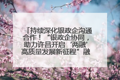 持续深化银政企沟通合作！“银政企协同，助力许昌开启‘两融’高质量发展新征程”融资对接会举行