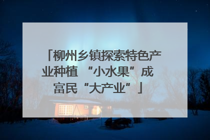 柳州乡镇探索特色产业种植 “小水果”成富民“大产业”