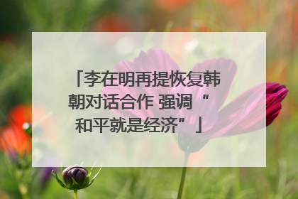 李在明再提恢复韩朝对话合作 强调“和平就是经济”