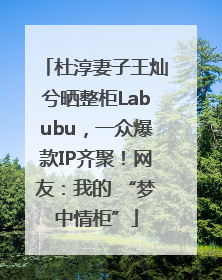 杜淳妻子王灿兮晒整柜Labubu，一众爆款IP齐聚！网友：我的 “梦中情柜”