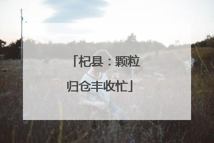 杞县：颗粒归仓丰收忙