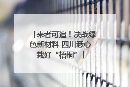 来者可追！决战绿色新材料 四川悉心栽好“梧桐”
