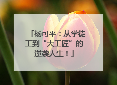 杨可平：从学徒工到“大工匠”的逆袭人生！