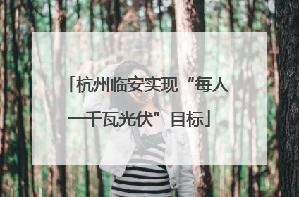 杭州临安实现“每人一千瓦光伏”目标