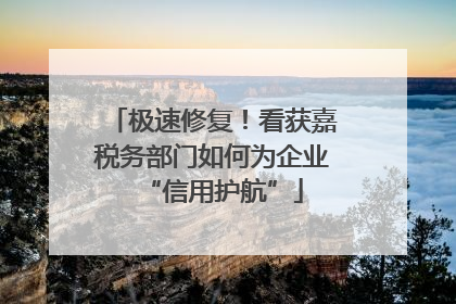 极速修复！看获嘉税务部门如何为企业“信用护航”