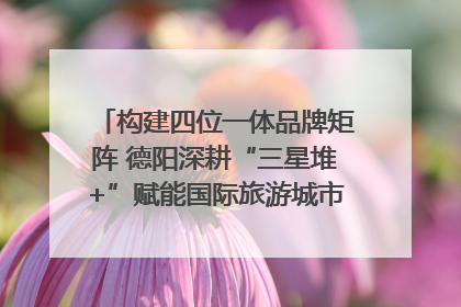 构建四位一体品牌矩阵 德阳深耕“三星堆+”赋能国际旅游城市建设｜文旅局长说