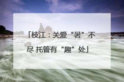 枝江：关爱“暑”不尽 托管有“趣”处
