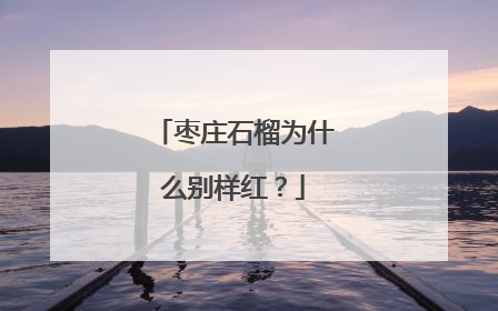 枣庄石榴为什么别样红？