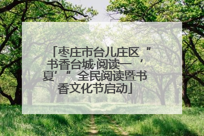 枣庄市台儿庄区“书香台城·阅读一‘夏’”全民阅读暨书香文化节启动