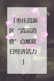 枣庄高新区“清凉消费”点燃夏日经济活力