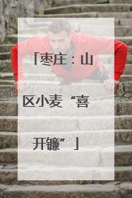 枣庄：山区小麦“喜开镰”