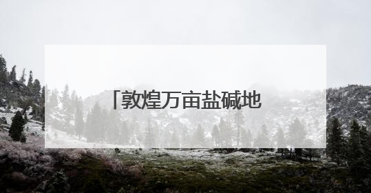 敦煌万亩盐碱地变“希望田”