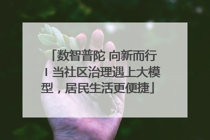 数智普陀 向新而行〡当社区治理遇上大模型，居民生活更便捷
