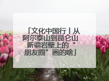 文化中国行丨从阿尔泰山到昆仑山 新疆岩壁上的“朋友圈”画的啥