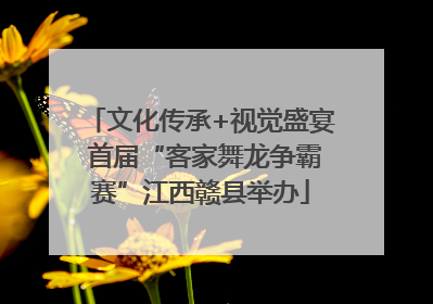 文化传承+视觉盛宴 首届“客家舞龙争霸赛”江西赣县举办