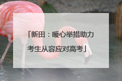 新田：暖心举措助力考生从容应对高考