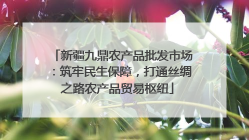 新疆九鼎农产品批发市场：筑牢民生保障，打通丝绸之路农产品贸易枢纽