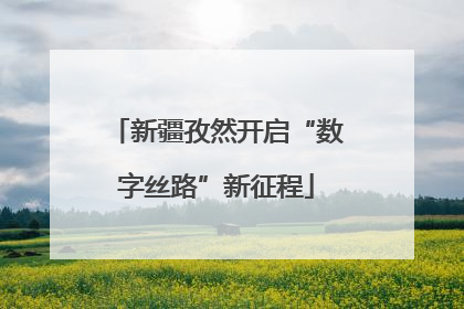 新疆孜然开启“数字丝路”新征程