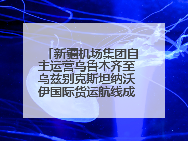 新疆机场集团自主运营乌鲁木齐至乌兹别克斯坦纳沃伊国际货运航线成功首航