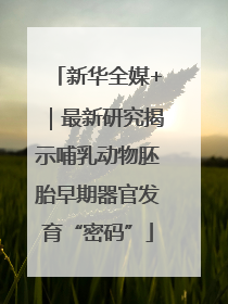 新华全媒+｜最新研究揭示哺乳动物胚胎早期器官发育“密码”
