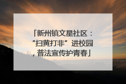 新州镇文星社区：“扫黄打非”进校园，普法宣传护青春
