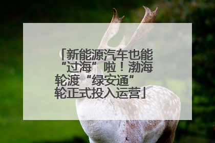 新能源汽车也能“过海”啦！渤海轮渡“绿安通” 轮正式投入运营