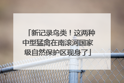 新记录鸟类！这两种中型猛禽在南滚河国家级自然保护区现身了