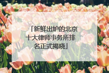 新鲜出炉的北京十大律师事务所排名正式揭晓