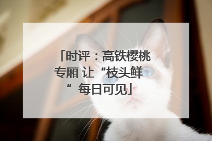 时评：高铁樱桃专厢 让“枝头鲜”每日可见