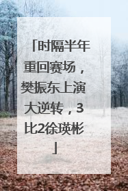 时隔半年重回赛场，樊振东上演大逆转，3比2徐瑛彬