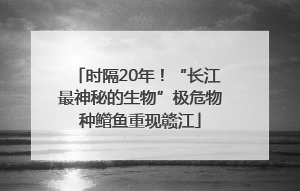 时隔20年！“长江最神秘的生物”极危物种鳤鱼重现赣江