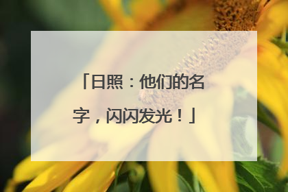 日照：他们的名字，闪闪发光！