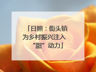 日照：街头镇为乡村振兴注入“甜”动力