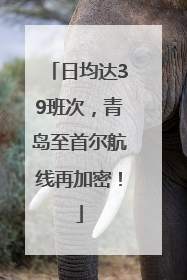 日均达39班次，青岛至首尔航线再加密！