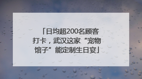 日均超200名顾客打卡，武汉这家“宠物馆子”能定制生日宴