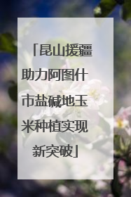 昆山援疆助力阿图什市盐碱地玉米种植实现新突破